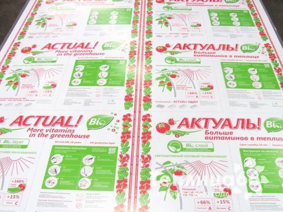 Actual BIO 4мм плотность 0,6 кг (Казань) Сотовый поликарбонат