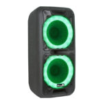 ELTRONIC 20-14 DANCE BOX динамик 2х10 " Колонка