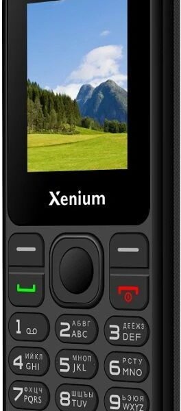 Xenium X160 Черный Мобильный телефон
