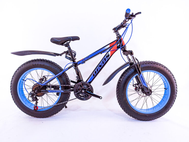Dinos 20" 21скор (стальная рама, диск. тормоз) Черно-синий (DIN-23-4) Велосипед Fatbike